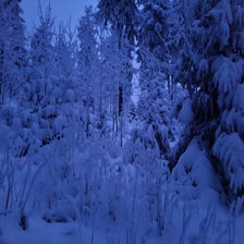 20210110_072121-standard.jpg