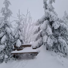 20210110_074609-standard.jpg
