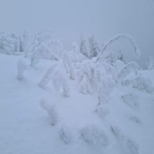 20210110_083640-standard.jpg