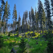 20210608_075329-standard.jpg