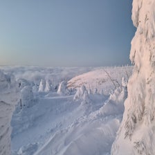 20220212_065120-standard.jpg