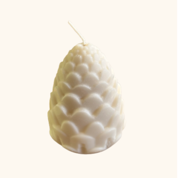 Dennenappel gesloten - wit