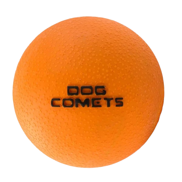 Dog Comets Stardust