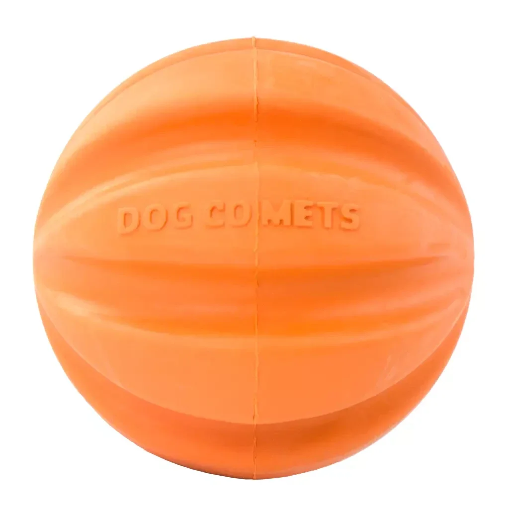 Dog Comets Stardust