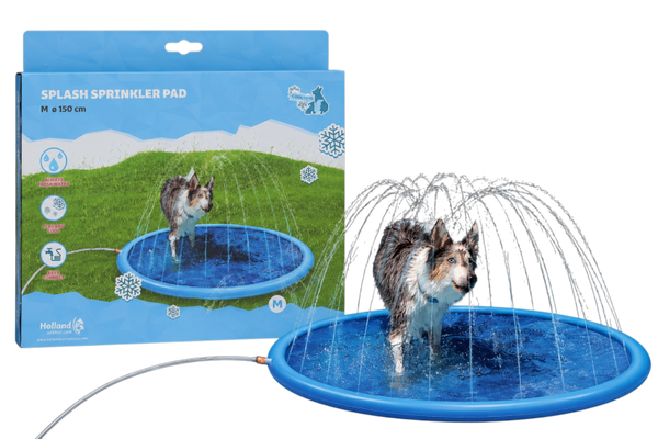 AquaFun Play Set