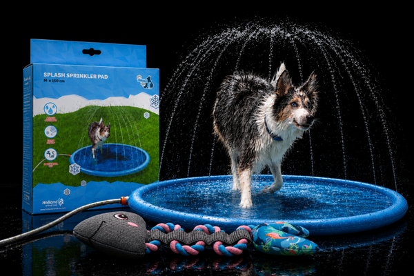 AquaFun Play Set