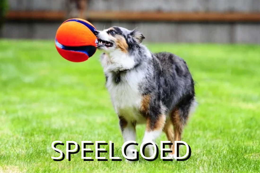 hondenspeelgoed
