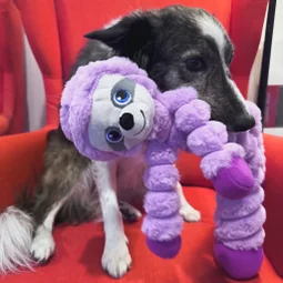 KONG knuffel hondenspeelgoed