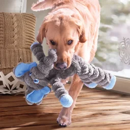 hondenspeelgoed KONG knuffel