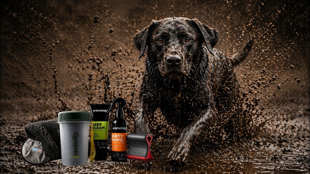 modder en vuil set honden
