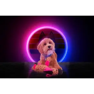 Retrodog Donkey roze, hondenspeelgoed, knuffel