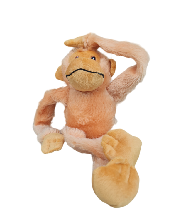 Happy pet Swinger Chimpansee