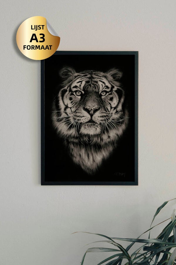 Tijger poster