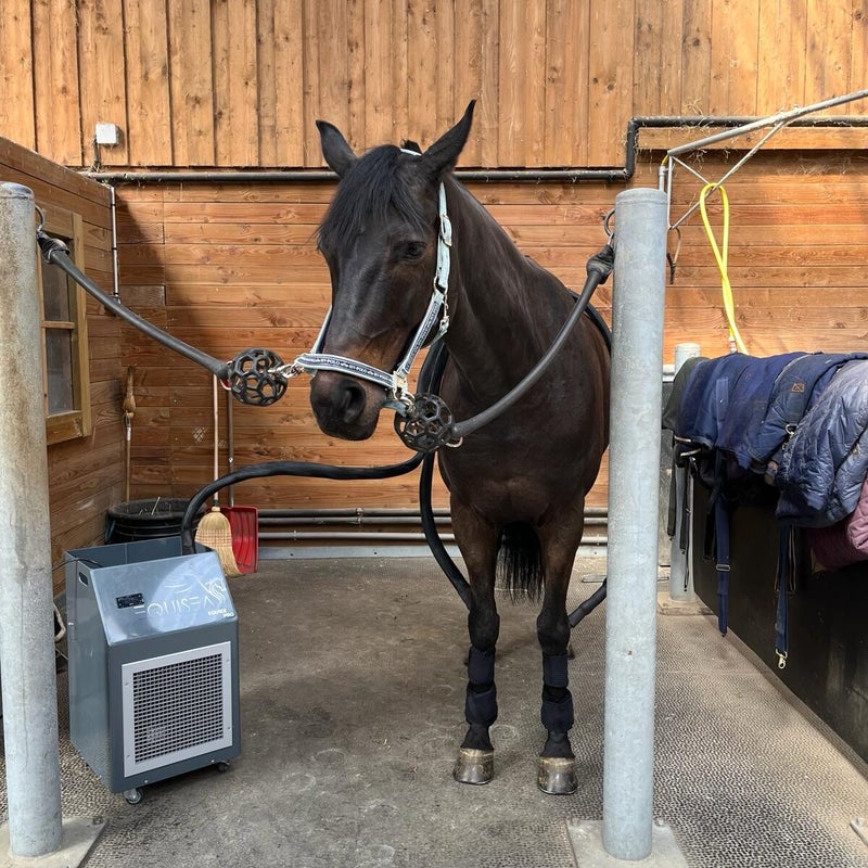 equisea-cryotherapie-chevaux-soins-froid-3-standard.jpg