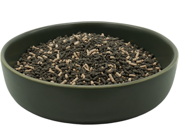 REiCO Darm Balance+, 150 g