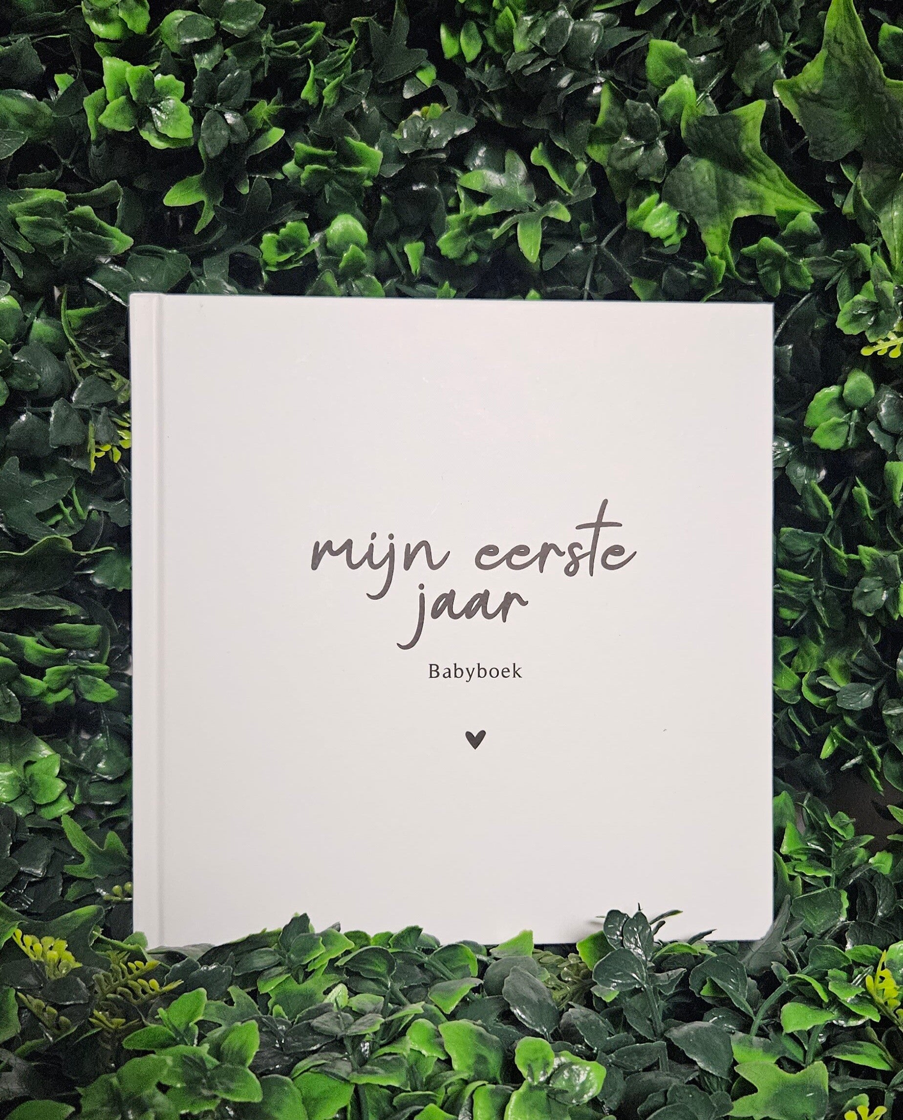 Mijn Eerste jaar boek