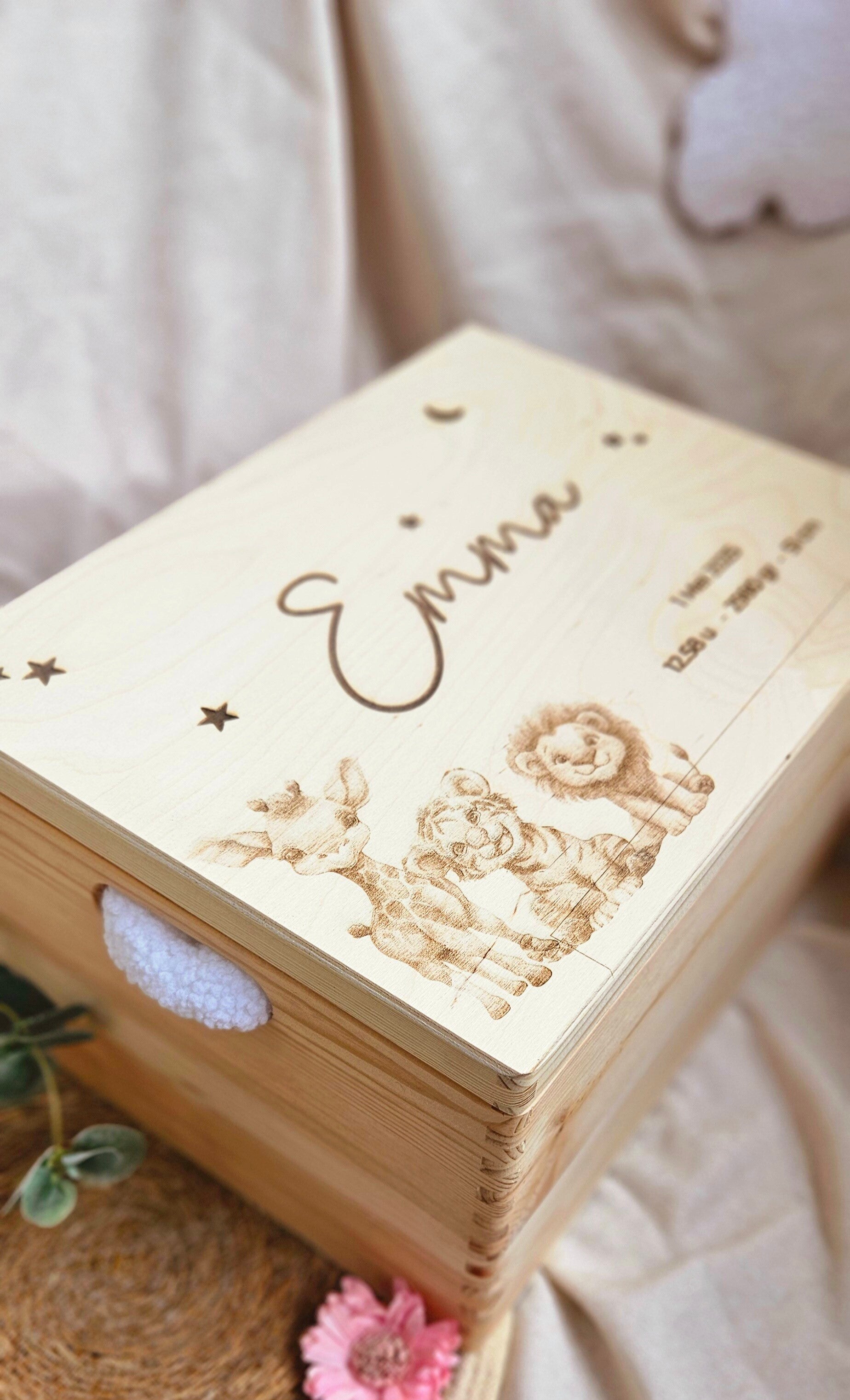 Herinneringbox  -  Safari