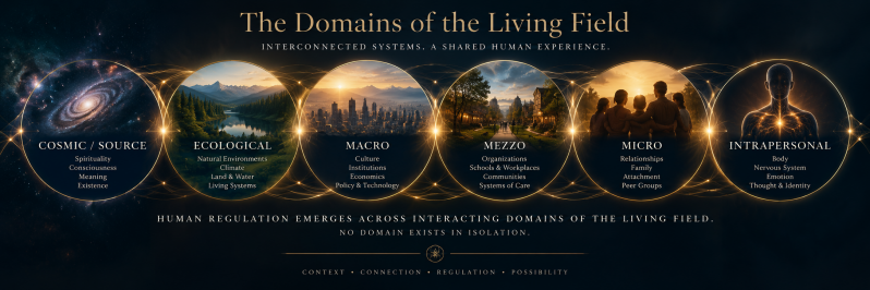 The Domains of the Living Field in Functional Systems Regulation Theory, illustrating the interconnected Cosmic/Source, Ecological, Macro, Mezzo, Micro, and Intrapersonal domains that shape human regulation and experience.