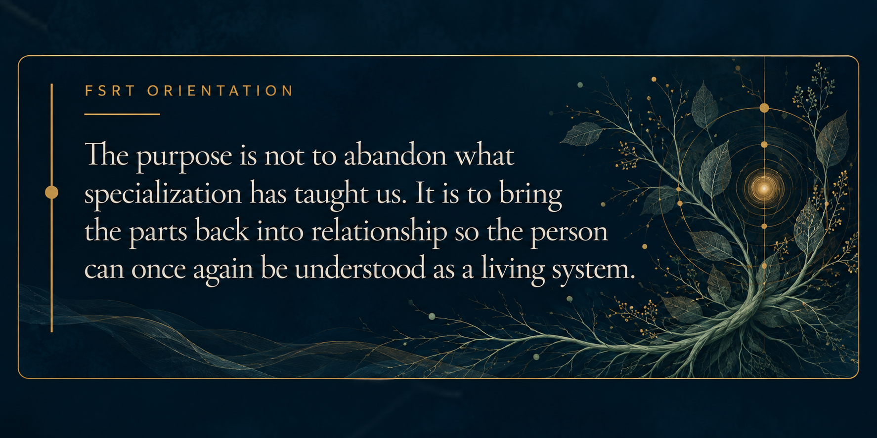 FSRT Orientation on the wider systems view, emphasizing bringing specialized perspectives back into relationship so the person can be understood as a living system.