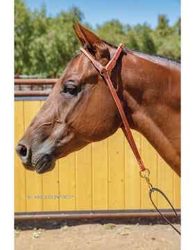 War Bonnet "Herman Oak Leder"