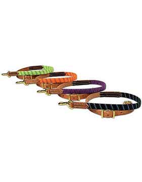 Tie Down "Ultimate" schwarz, lime, lila, orange