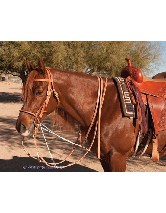 German Martingal "AD"