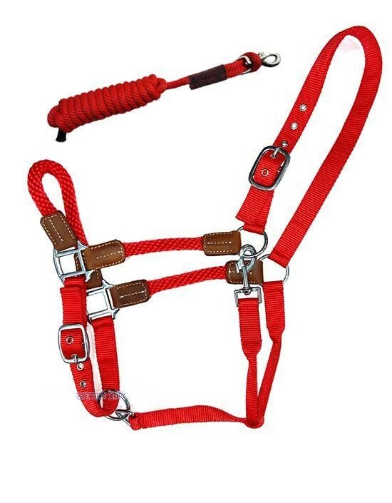 Halfter Set "Rope" crimson red , Cob