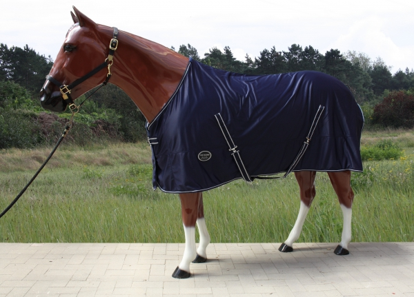 "TOP SCORE" - 4 in 1 Multifunktions Sommerdecke Transportdecke - Lycra & Fleece - BLAU