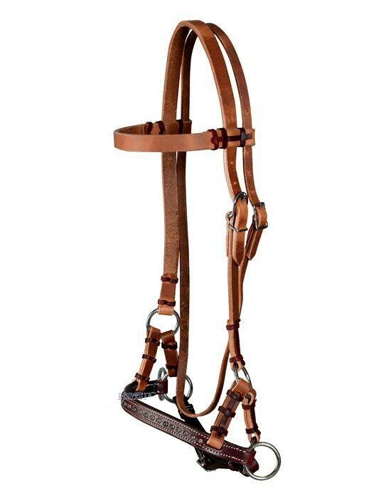 Sidepull "Dots" Harness