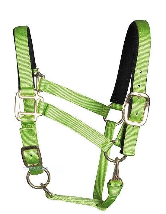 Halfter "Tuff Stuff" limegreen, Yearling