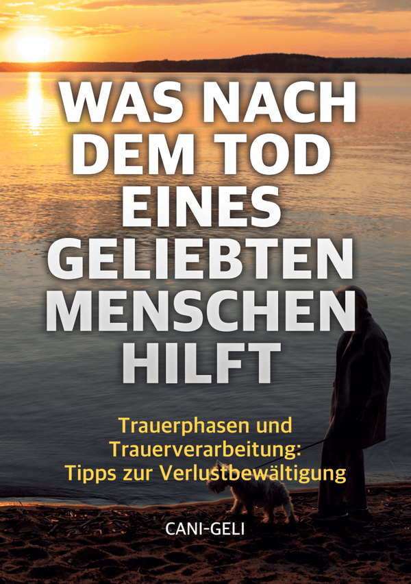 Trauerbuch - Trauerphasen und Trauerbewältigung