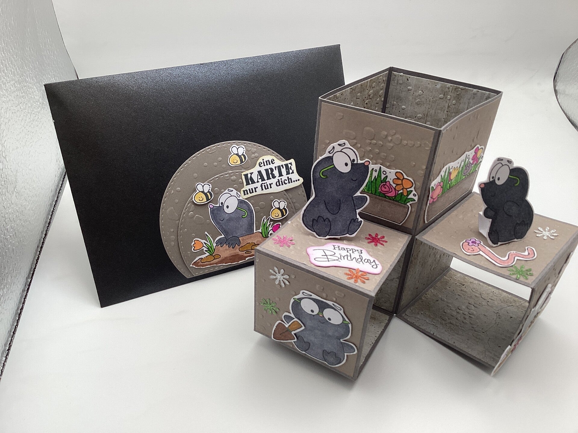 Geburtstagskarte „ Pauli“