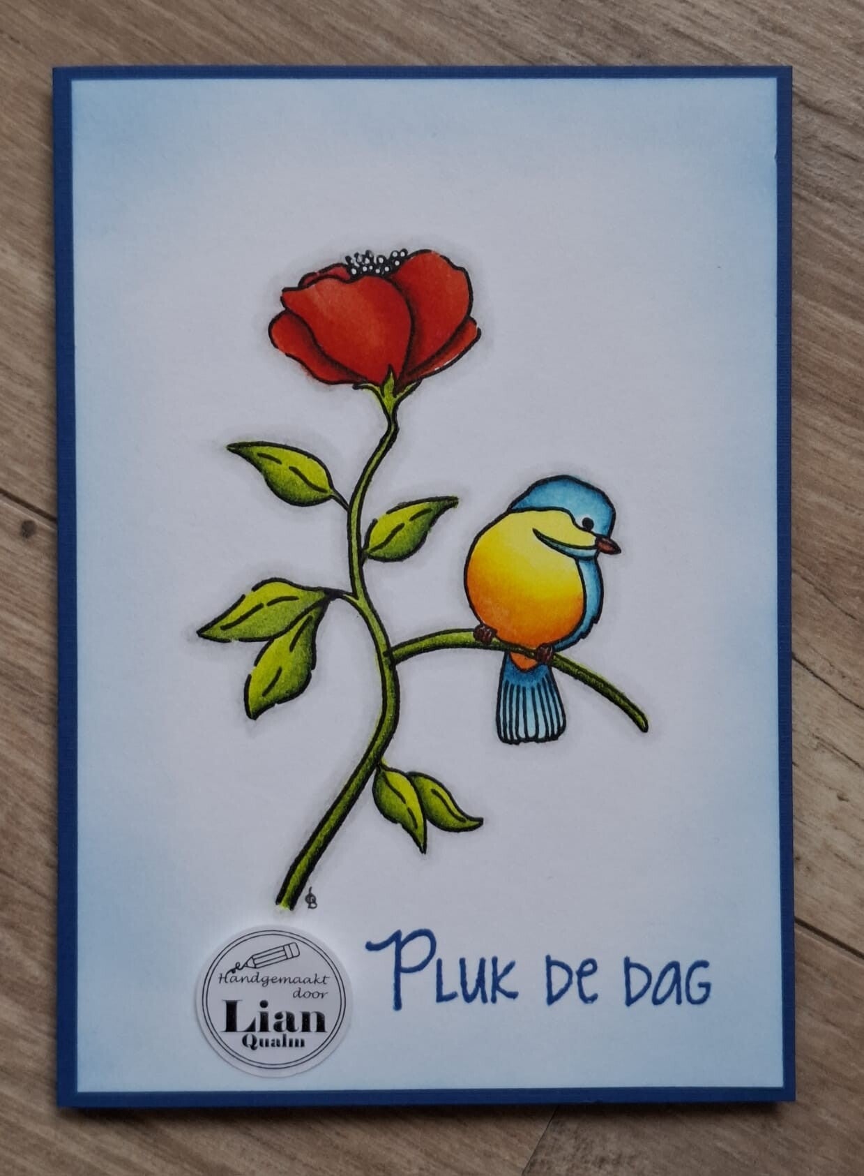 1 Augustus kleurworkshop door Lian Qualm met Zig clean colors