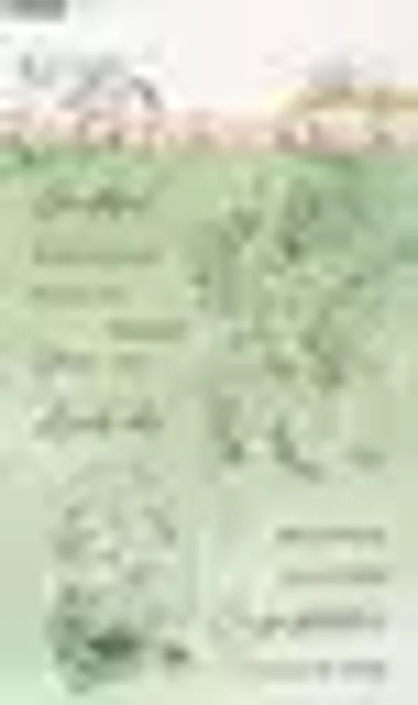 Clear stamps Sentiments & florals - Nature lover nr. 593
