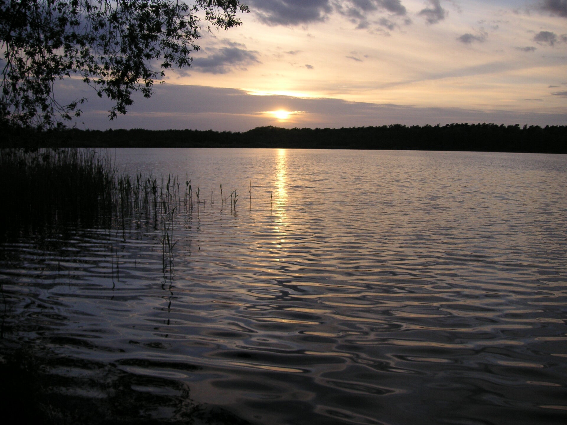 byhlegure-2005-050-standard-tt3aha.jpg