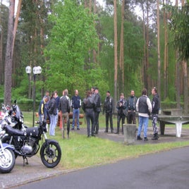 byhlegure-2005-057-standard-qhnbr5.jpg
