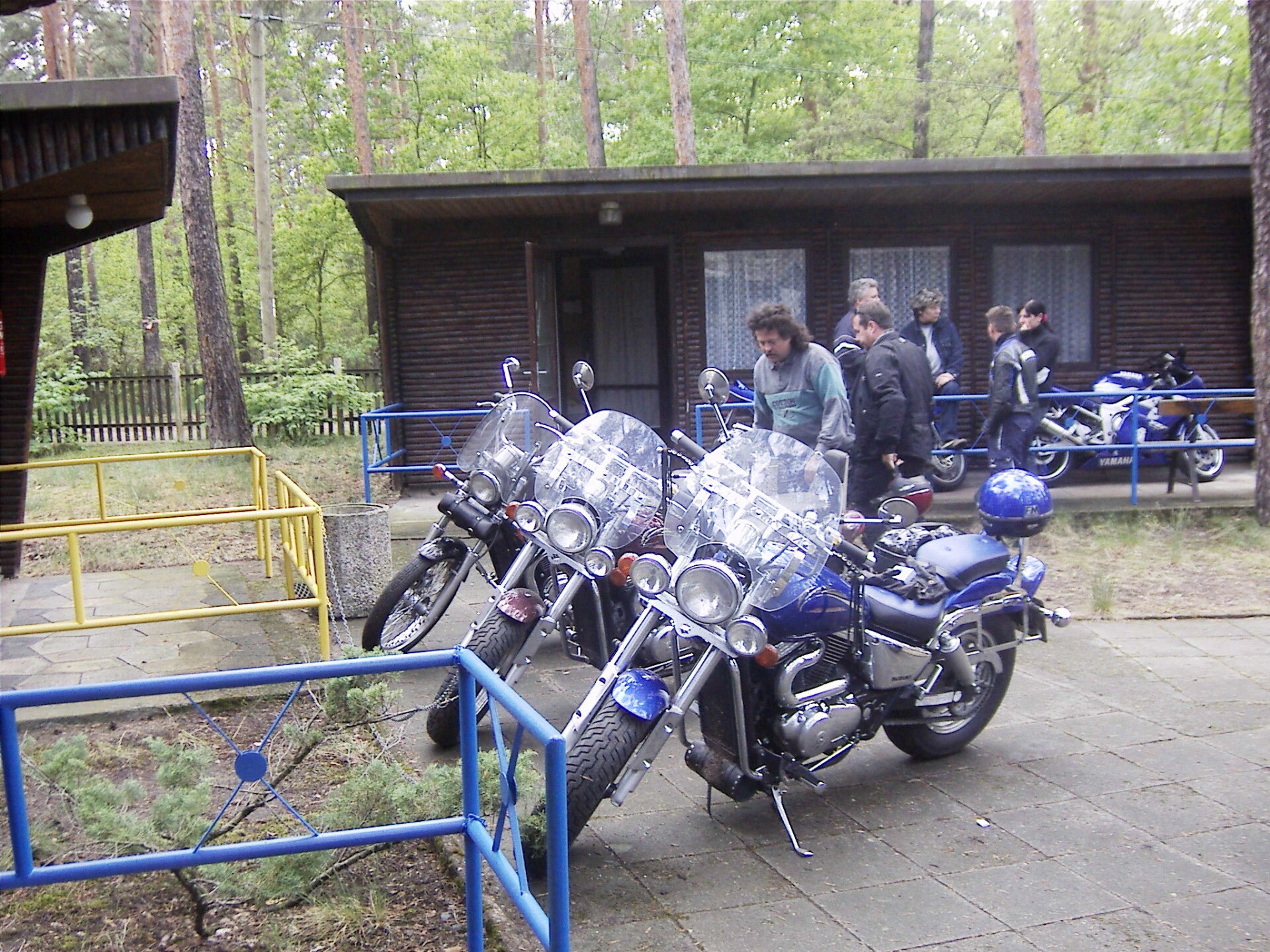 byhlegure-2005-147-standard-fe2tin.jpg
