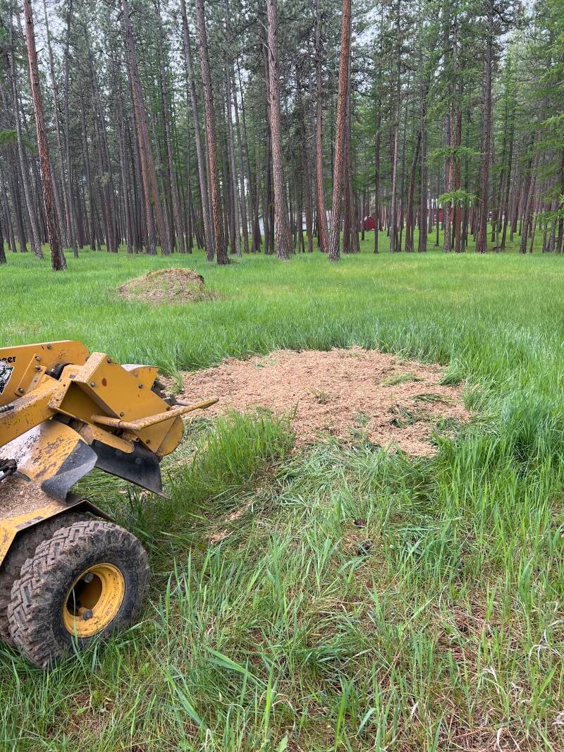 Ground a 52 inch stump in kalispell Montana 