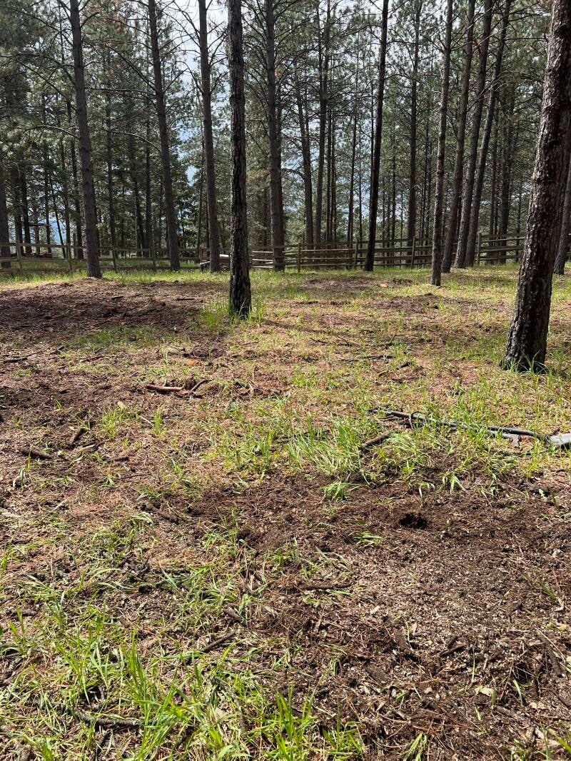 Stump grinding. Removed 6 stumps in kalispell Montana 