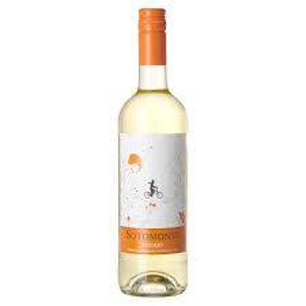 Witte Wijn Sotemonte verdejo