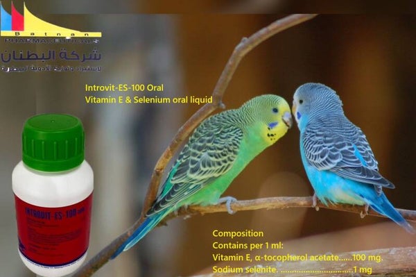 Introvit-ES-100 Oral