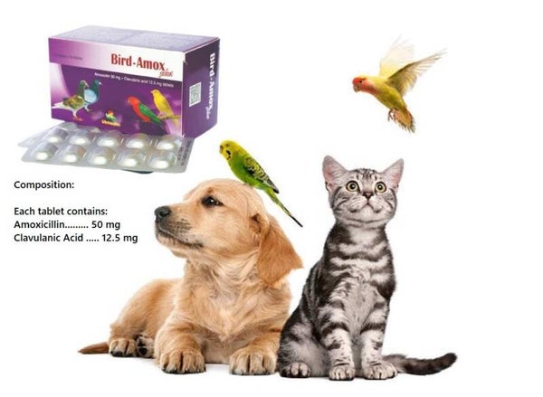 Bird-Amox