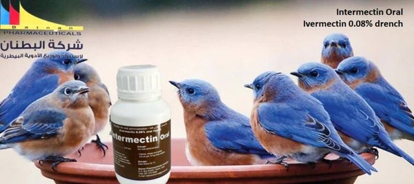 Intermectin Oral (with off label use for cage birds)
