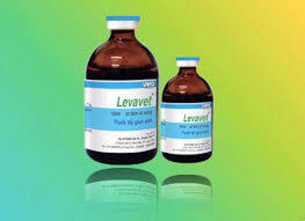 Levavet