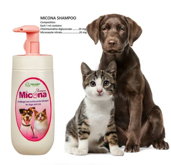 MICONA SHAMPOO