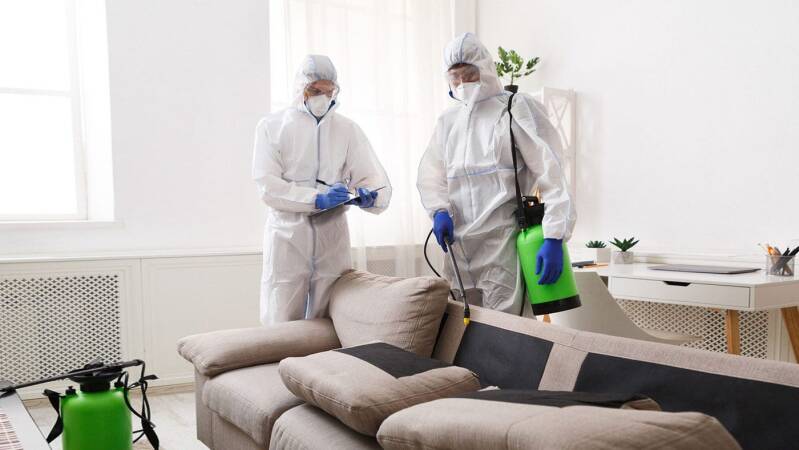 Essex City Environmental our  RSPH-certified technicians in Essex
