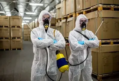 Essex City Environmental 24/7 Emergency Pest Control In Harwich and surrounding ares