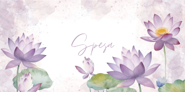 COPERTINE CATEGORIE DI SPESA (BINDER/PORTAFOGLI)