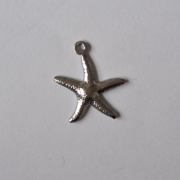 RVS zeester zilver - 012