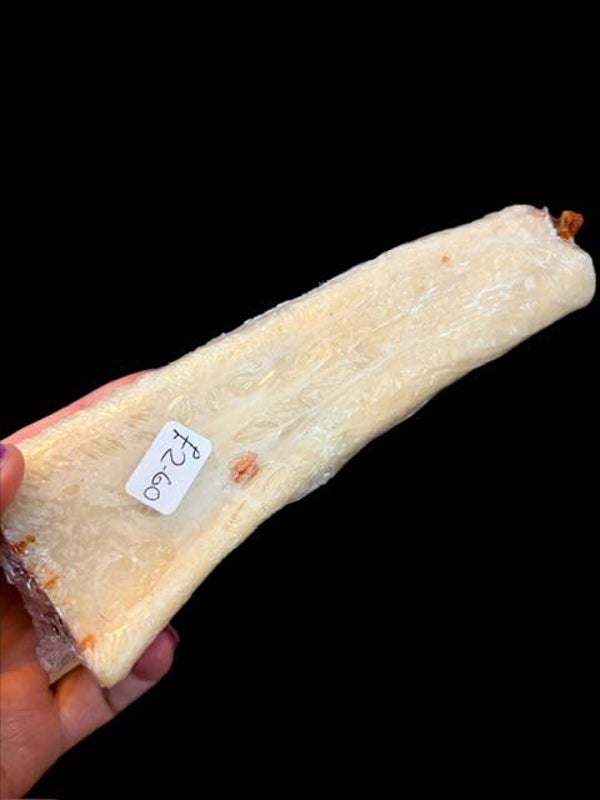 stuffed Buffalo bone